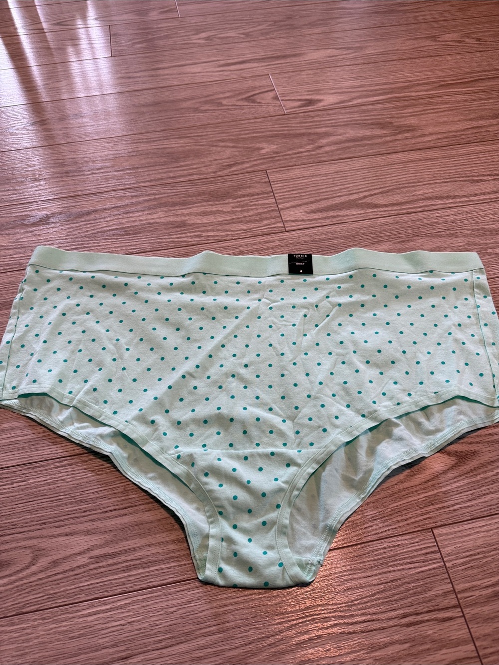 NWT Torrid Underwear